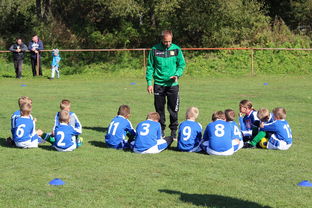 星空体育官网首页-乌鸦防线表现完美，对手几乎无解，乌鸦攻击什么